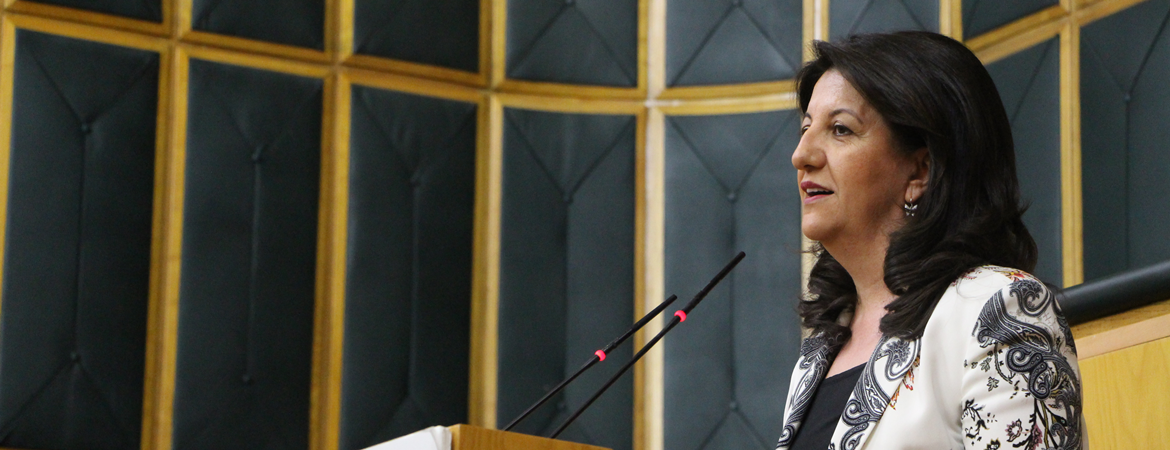 BARIŞ SÜRECİNDE YENİ AŞAMA: DEM HEYETİNDEN İMRALI ADIMI